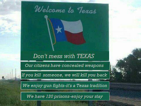 Image result for don't mess with texas gun