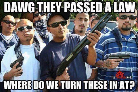 dawg-they-passed-a-law-where-do-we-turn-these-in-at.jpg