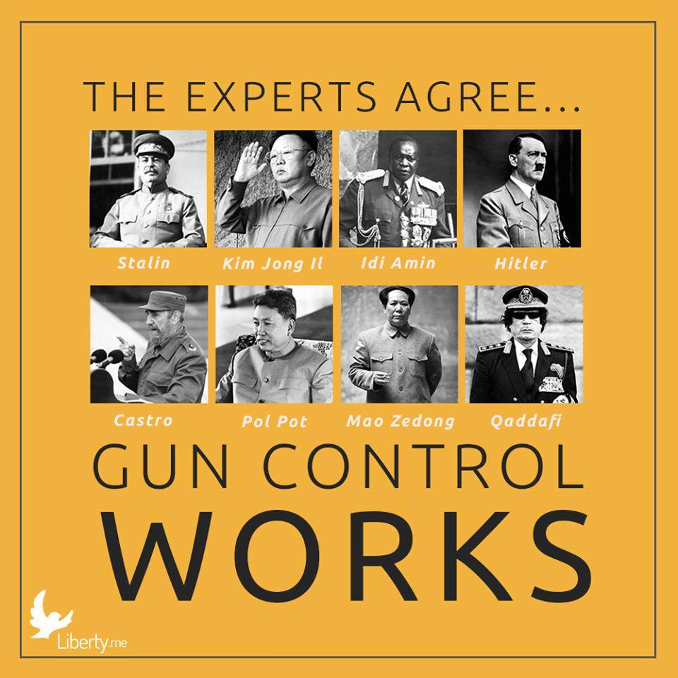 the-experts-agree-gun-control-works