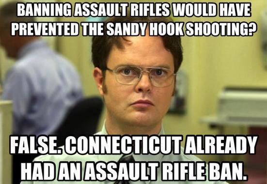 Banning Assault Rifles Would Have Prevented the Sandy Hook Shooting?