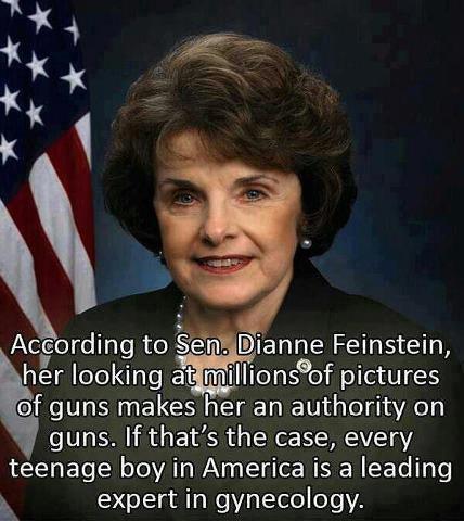 According to Sen. Dianne Feinstein, Her Looking at Millions of Pictures of Guns Makes Her an Authority on Guns.