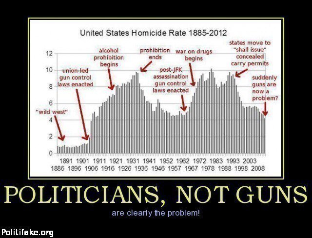 Politicians, Not Guns