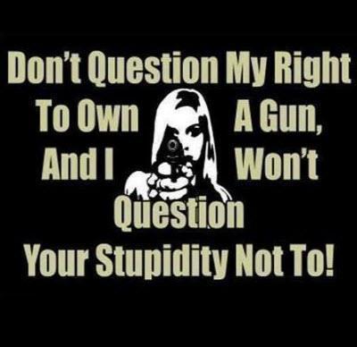 Don't Question My Right to Own a Gun