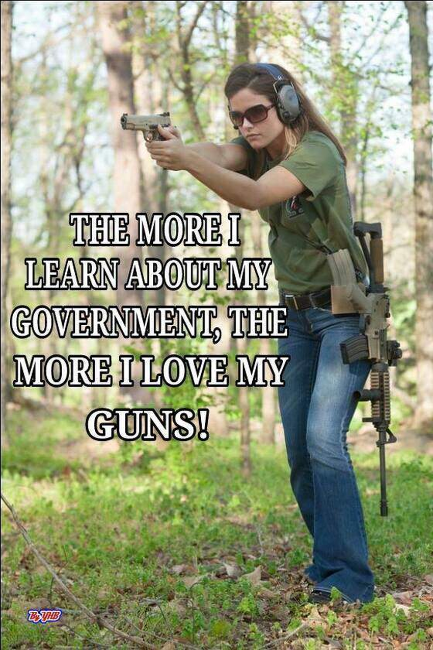 the-more-i-learn-about-my-government-the-more-i-love-my-guns