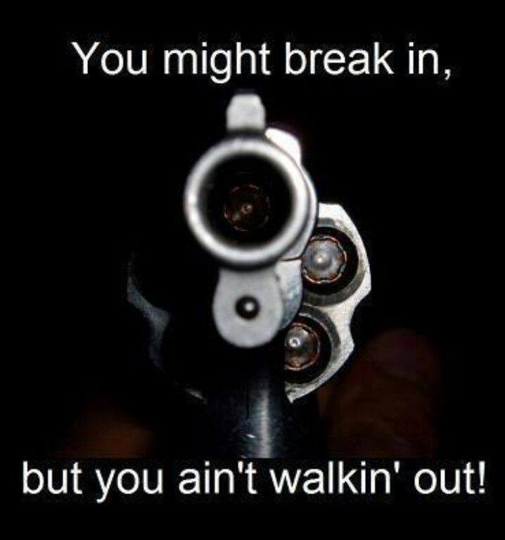 you-might-break-in-but-you-aint-walkin-out