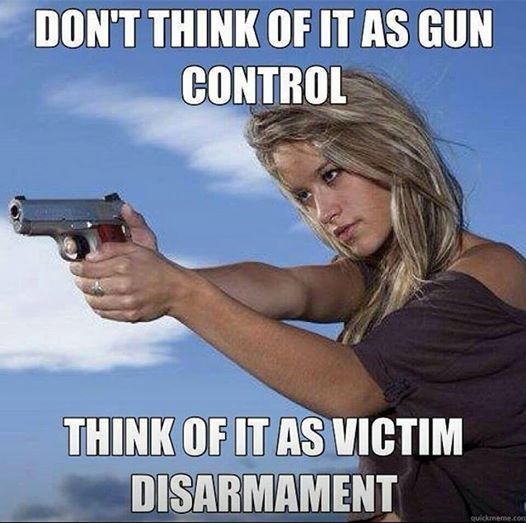 dont-think-of-it-as-gun-control-think-of-it-as-victim-disarmament