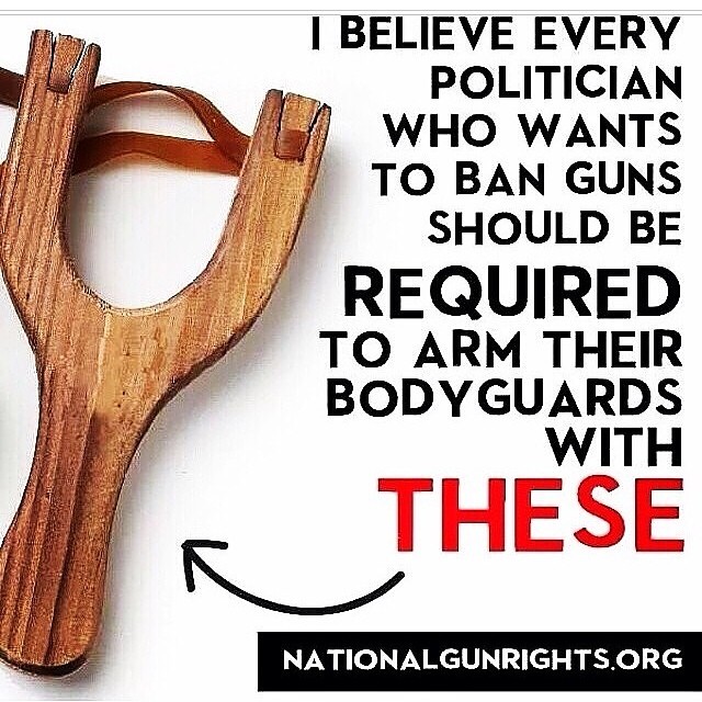 every-politician-who-wants-to-ban-guns-should-be-required-to-arm-their-bodyguards-with-these