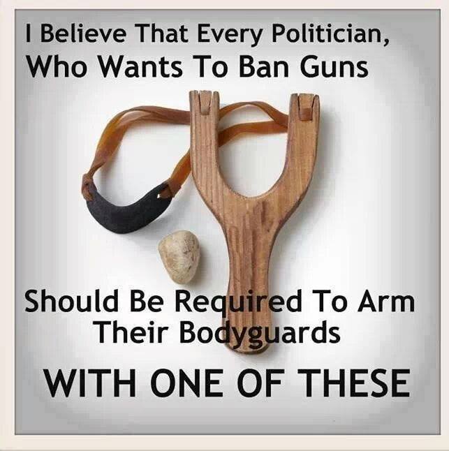 i-believe-every-politician-who-wants-to-ban-guns-should-be-required-to-arm-their-bodyguards-with-one-of-these