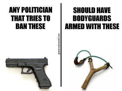 justice-for-gun-grabbing-politicians