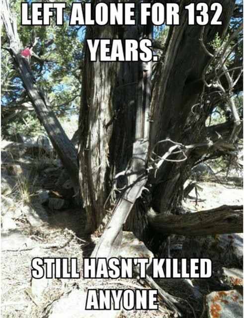 left-alone-for-132-years-still-hasnt-killed-anyone