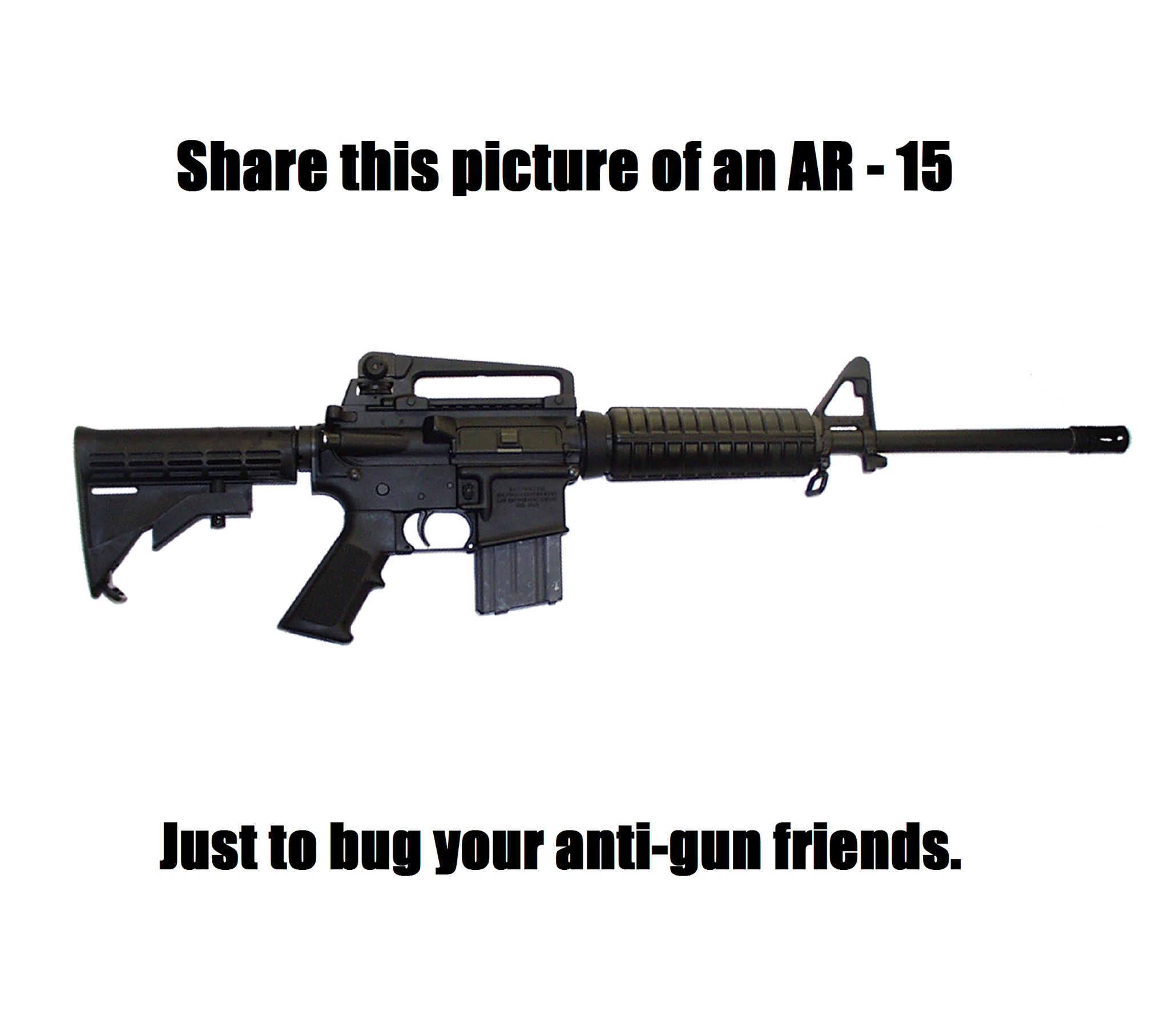 share-this-picture-of-an-ar-15-just-to-bug-your-anti-gun-friends