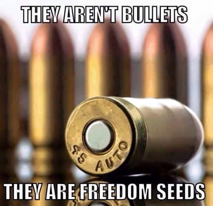 they-arent-bullets-they-are-freedom-seeds