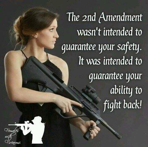 2nd-amendment-wasnt-intended-guarantee-safety