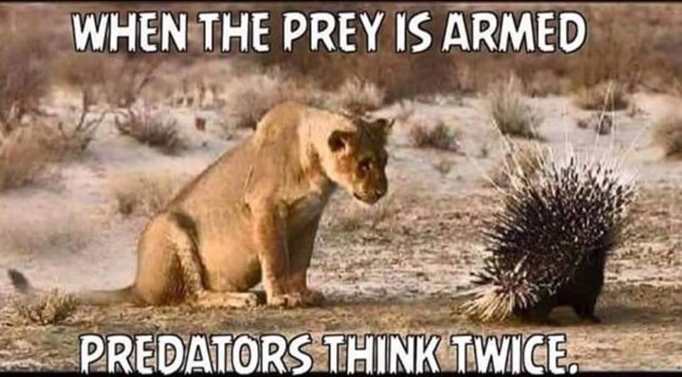 prey-armed-predators-think-twice